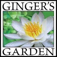 Ginger's Garden Handmade Artisan Soaps